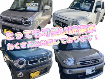 試乗車たくさんご用意しております！！！
